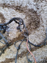 фото thumb №7, Жгут двигателя opel zafira a 2.2 дизель