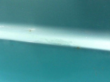 фото thumb №8, Двері перед ліві nissan micra k10 3d блакитний