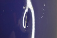 Vw golf vi plus капот крышка двигателя m813 Оригинал, фото thumb