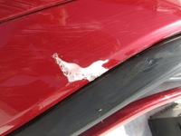 фото thumb №9, Бампер ford puma mk2 19- st-line задняя pdc