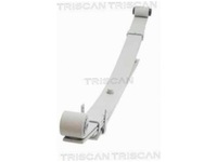 фото thumb №2, Рессора задняя triscan 8765 43004
