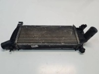 Інтеркулер радіатор повітря nissan navara d40 2.5dci 14461eb360 Зі Шроту, фото thumb