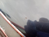 фото thumb №6, Hyundai santa fe 2 ii 06-12 капот кришка двигуна код лакофарбового покриття 2z