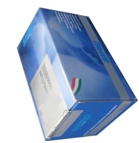 фото thumb №1, Samko 6t48078 шланг гальмівний гнучкий