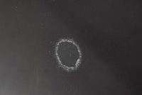 фото thumb №6, Капот крышка двигателя чёрная skoda octavia 2 ii 04-08