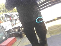 фото thumb №10, Капот крышка двигателя skoda octavia iv 4 19-