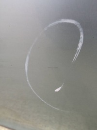 фото thumb №7, Двері ліва перед toyota scion tc i 2004-2010