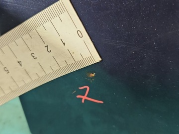 фото thumb №9, Кришка багажника зад vw polo 95-01 sedan 4d темно-синій