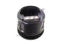 фото thumb №2, Поршні fast ft47130/0
