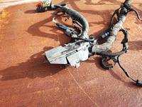 фото thumb №16, Ford ecosport 2 1.5 tdci жгут двигателя электропроводка