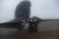 фото thumb №10, Двері правий перед renault koleos 2.0dci 2008r