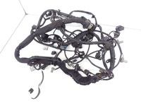 фото thumb №1, Джгут двигуна mercedes-benz r w251 6421506733