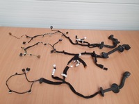 фото thumb №1, Джгут електропроводка двері renault captur i 15r