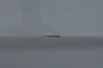 фото thumb №7, Renault zoe рестайлінг двері лівий зад задні