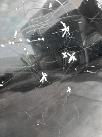 фото thumb №5, Капот toyota verso s 2010-17