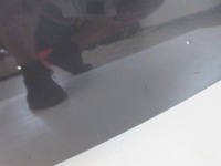 фото thumb №7, Prius iii капот колір 8v1