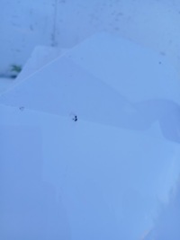 Бампер задня coupra formentor Оригінал, фото thumb