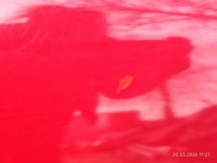 фото thumb №10, Дверь правая купе mini one - cooper купе r56 chillired