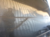 фото thumb №9, Ford transit tourneo custom lift 18- дверь правое