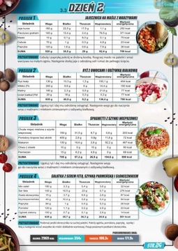 Odżywka białkowa wołowa BEEF + Białko serwatkowe WHEY - Amix Predator 2kg