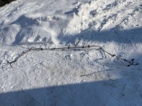 фото thumb №1, Шланг трубки топлива jaguar xf x260 3.0 v6 d gx73-9s284-cc