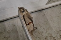 фото thumb №10, Бампер задний toyota previa _r3_ 8p6 2.0l дизель 85kw 2002