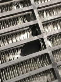 Bmw x5 g05 радиатор дополнительная 7560816 в Украине, фото thumb