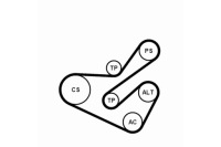 Contitech набір ремінь клиновий багаторучейковий citroën Доставка, фото thumb