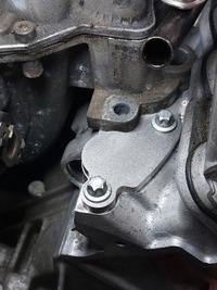 фото thumb №3, M113 egr заглушки