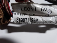 фото thumb №3, Электропроводка дверь правое bentley gt gtc 1