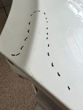 фото thumb №11, Kia ceed iii 18- крыло правые перед переднее