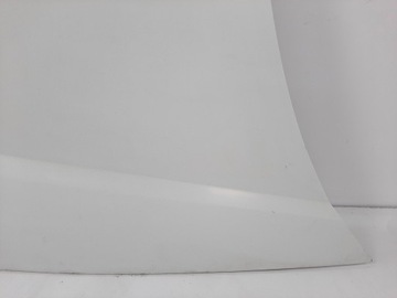 фото thumb №7, Renault kangoo експрес рестайлінг 05r капот код 0389