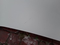 фото thumb №3, Капот перед opel combo iii