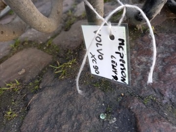 фото thumb №7, Mcperson левый правый перед volvo xc90