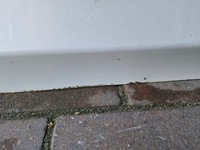 фото thumb №5, Lexus ct200h дверь правое перед правый перед