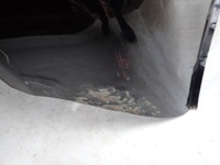 фото thumb №7, Mini iii f55 f56 14- капот крышка двигателя