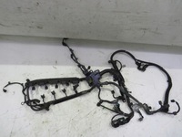 фото thumb №1, Жгут электропроводка двигателя civic ix 1.8 b