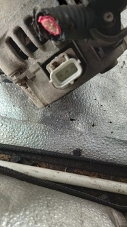 фото thumb №4, Генератор ford focus 1.6b 99r hb