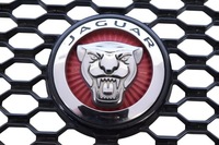 фото thumb №7, Jaguar f-pace 2016 решітка радіатора радіатора / решітка радіатора