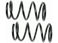 Купить Пружины перед sachs 998 146, фото thumb