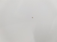 Капот кришка opel insignia a рестайлінг  lak:40r 2016r Київ, фото thumb