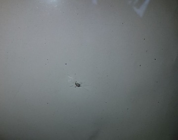 фото thumb №5, Jaguar xf x260 скло лобове перед передня hud камера 15r оригінал