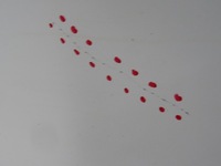 фото thumb №6, Qashqai j10+ 2 lift дверь левая задняя 326-g 2013r