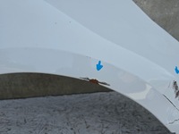 фото thumb №7, Toyota corolla e21 hb kombi крыло перед передний правый