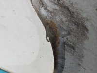 фото thumb №5, Крыло перед правый renault koleos i 08-11 белый teqxa