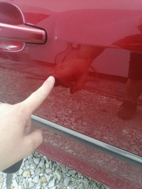 фото thumb №3, Дверь правый перед peugeot 406 sw bordo