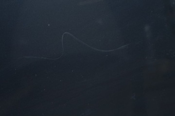 фото thumb №8, Volvo c30 s40 v50 капот перед передняя крышка двигателя 455-46 комплектная