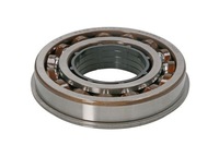 фото thumb №1, Подшипник c.e.i 130817