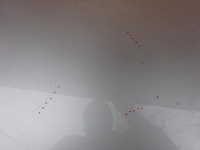 Купити Audi a5 8t 07-11 капот кришка двигуна оригінал oem lx7w, фото thumb