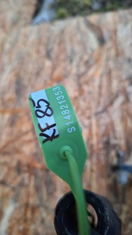 фото thumb №7, Подрамник подрамник подрамник перед g1b1-5019-b2b ford ka + plus iii 15-